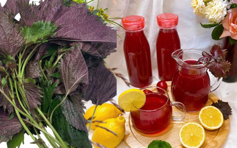 Nếu không thích thêm loại lá có vị đắng nhẹ này vào món ăn thì đem pha trà uống cũng làm sạch gan, lọc thận, chống viêm cực tốt