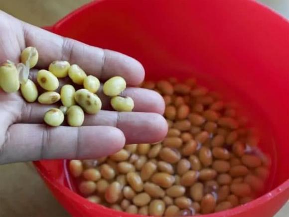 thực phẩm, bệnh gan, ung thư