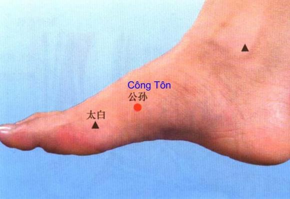 huyệt công tôn, huyệt hoàng đế