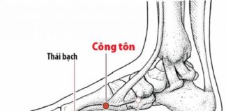 Có một ‘Huyệt Hoàng đế’ ở bàn chân! Xoa 30 lần vào buổi sáng và tối để kích hoạt tuần hoàn máu trong toàn bộ cơ thể, từ đầu đến chân