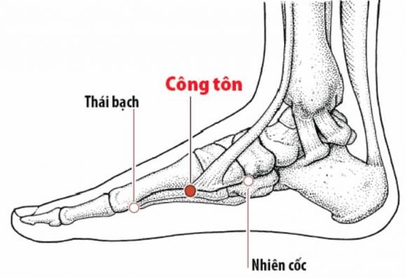 huyệt công tôn, huyệt hoàng đế