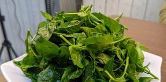 Hái hết quả ớt đừng bỏ phí bộ phận này của cây, thơm ngon nhiều chất