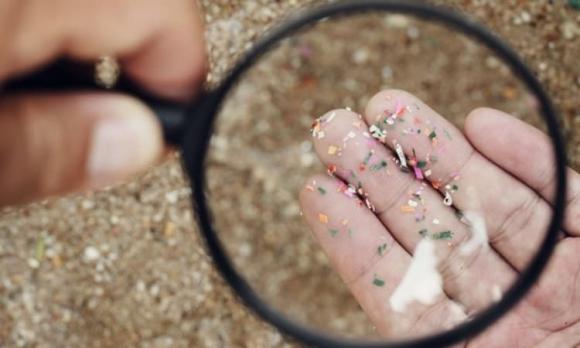 hạt vi nhựa, sức khỏe, giẻ lau, miếng bọt biển rửa bát