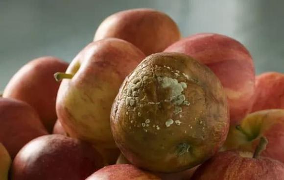 thực phẩm, bệnh gan, ung thư