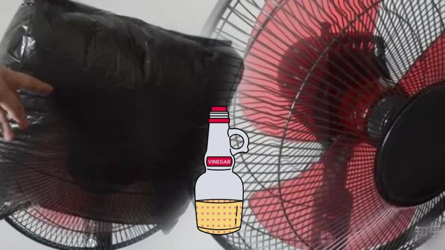 Giấm và túi nilon to hữu ích khi cần làm sạch quạt điện