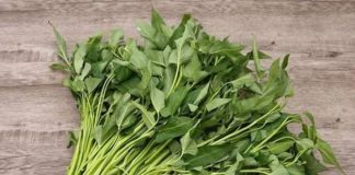 3 loại rau người Việt thích mê nhưng rất dễ là ‘ổ sán’, đặc biệt nhất là loại số 1
