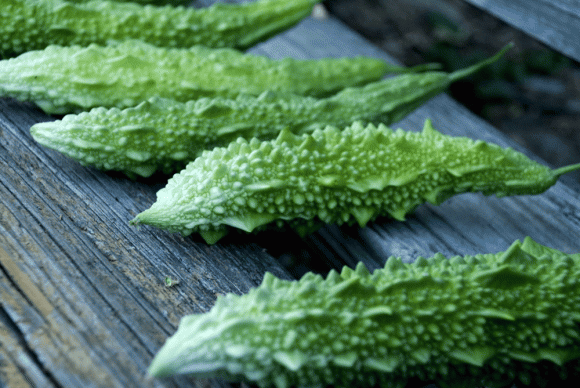 Mướp đắng, công dụng của mướp đắng