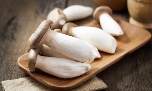 Nấm đùi gà, công dụng của nấm đùi gà