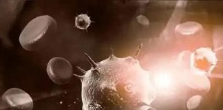 Mọi người đều sợ u:ng th:ư, nhưng tế bào u:ng th:ư sợ nhất là 4 loại thực phẩm này! Ăn một ít mỗi ngày, ung thư sẽ tránh xa