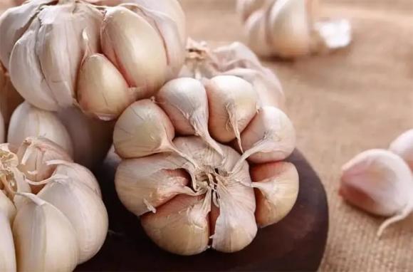 ung thư, thực phẩm chống ung thư