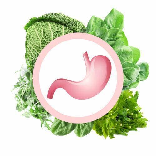 thực phẩm tốt cho dạ dày