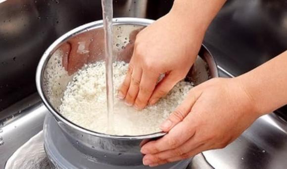 gạo, thực phẩm chứa vi nhựa, sức khỏe