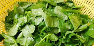 “4 không” khi ăn rau mồng tơi, biết mà tránh kẻo hối hận