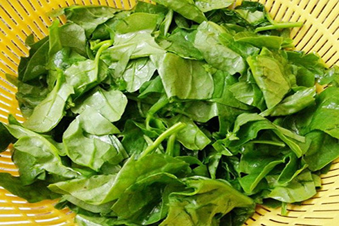 "4 không" khi ăn rau mồng tơi, biết mà tránh kẻo hối hận- Ảnh 1.