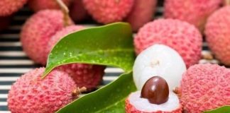 Bí quyết bảo quản vải thiều lâu ngày vẫn tươi mọng, không bị thâm vỏ