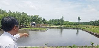 Trình tự, thủ tục chuyển đổi từ đất ao sang đất làm nhà