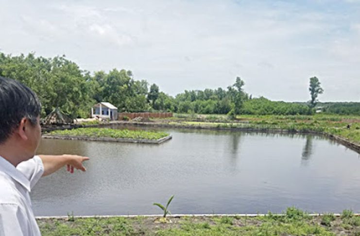 Trình tự, thủ tục chuyển đổi từ đất ao sang đất làm nhà