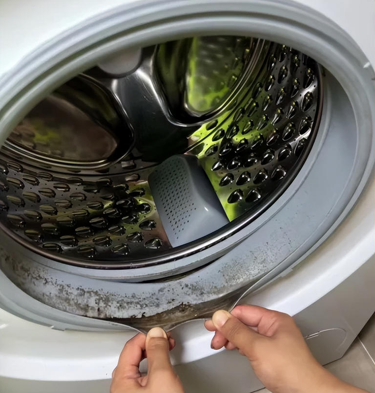 5 vật dụng trong nhà này "cực kỳ bẩn" nhưng bạn lại sử dụng chúng hàng ngày- Ảnh 4.