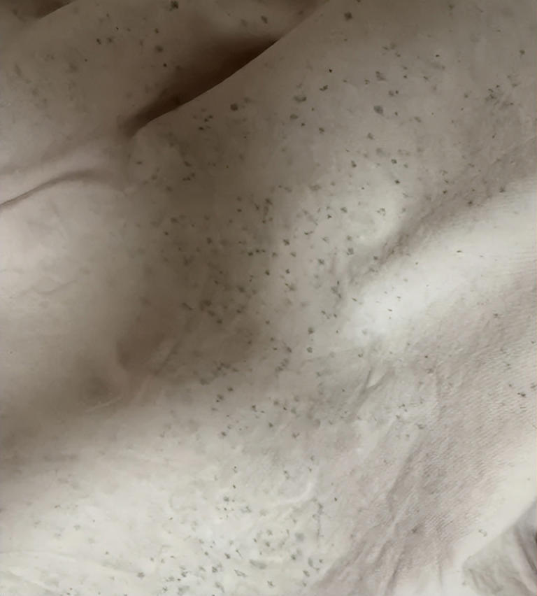 5 vật dụng trong nhà này "cực kỳ bẩn" nhưng bạn lại sử dụng chúng hàng ngày- Ảnh 2.