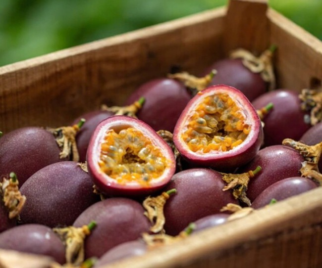 Nước ép "chống nắng" của Phạm Băng Băng, Chương Nhược Nam: Giá rẻ bèo ở Việt Nam, tận dụng có thể làm trắng da, xóa nếp nhăn thần thánh - Ảnh 3.