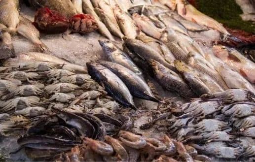 ung thư, cá gây ung thu, cá hun khói