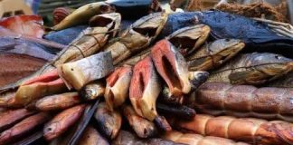 Loại cá này chứa ‘ch:ất gây u:ng th:ư hạng nhất’! Các bác sĩ nhắc nhở bạn hãy kiềm chế ăn nó