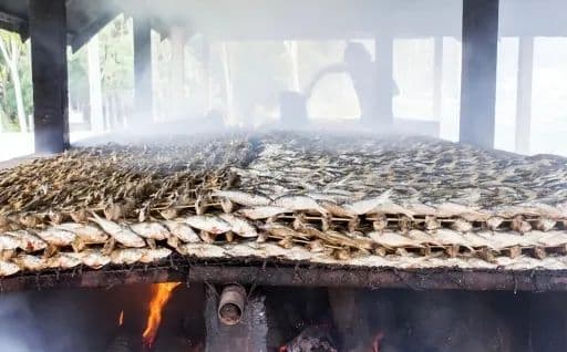 ung thư, cá gây ung thu, cá hun khói