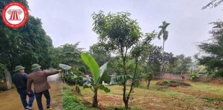 Thủ tục chuyển đất vườn sang đất ở không phải đóng thêm tiền sử dụng đất