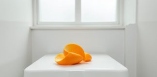 Cách khử mùi hôi phòng tắm, nhà vệ sinh cực kỳ hiệu quả