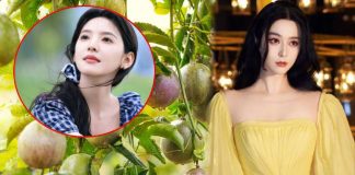 Nước ép “chống nắng” của Phạm Băng Băng, Chương Nhược Nam: Giá rẻ bèo ở Việt Nam, tận dụng có thể làm trắng da, xóa nếp nhăn thần thánh