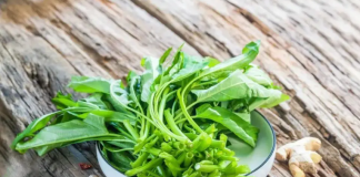 Loại rau giải nhiệt mùa hè là “th:uốc làm sạch đường ruột”, giúp hạ đường huyết, tốt đủ đường: Chợ Việt bán vừa nhiều vừa rẻ