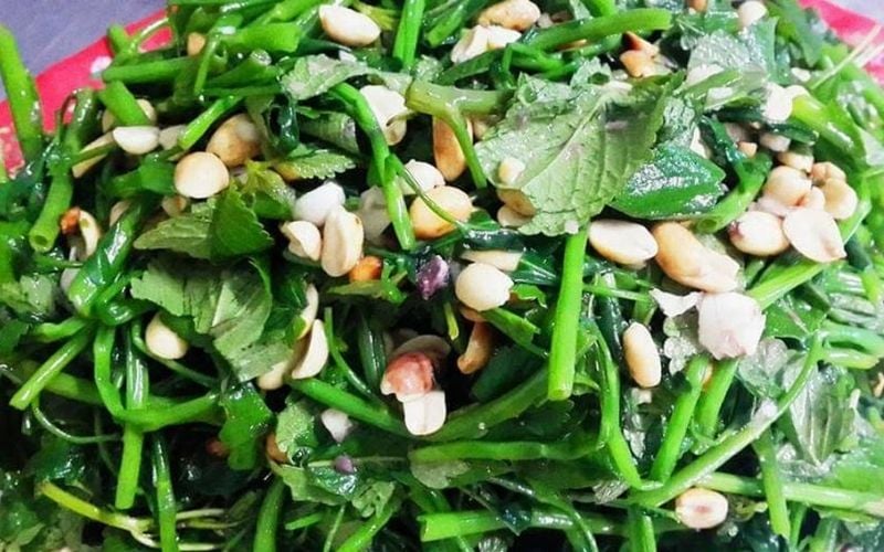Rau kinh giới không chỉ là nguyên liệu quen thuộc trong ẩm thực mà còn có tác dụng giải cảm, giảm đau đầu và chống viêm