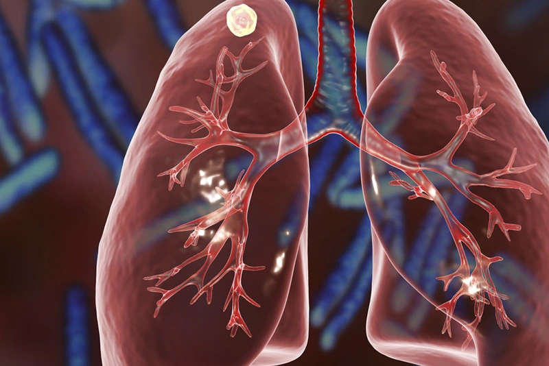 Không ngờ nhà bếp quen thuộc lại chứa