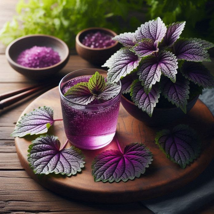 photo-1748150543565-174815054463