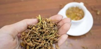 Từ chối m;ổ, người phụ nữ kiên trì uống nước hoa đu đủ đực để tiêu u tuyến giáp, sau 1 năm nhận kết quả bất ngờ