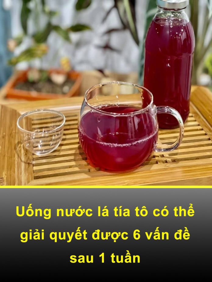 523511978_754223926965758_422994