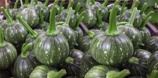 Loại rau rẻ như cho nhưng giàu axit folic gấp 10 lần táo, ‘thần dược’ cho người trung niên