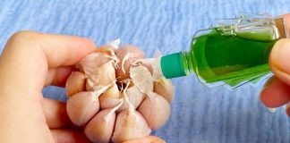 Đổ dầu gió lên tỏi tưởng việc ngược đời, ai ngờ lợi ích tuyệt vời, không phải ai cũng biết