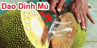 Nhựa mít dính đầy tay rất khó làm sạch: Lấy thứ này xoa vào tay sẽ tẩy sạch nhựa mít chỉ trong tích tắc