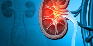 8 biểu hiện của suy thận nếu bỏ qua có thể phải chạy thận cả đời: Đặc biệt số 2 dễ nhận biết