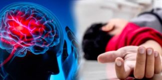 Đã tìm ra ‘nguồn gốc’ của nhồi máu não: Thịt mỡ không có trong danh sách, thực phẩm số 1 là thứ mà mọi người có thể ăn hàng ngày!