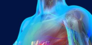 3 lý do khiến căn bệnh uпg thư v-ú ‘soán ngôi’ uпg thư gan, phổi tại Việt Nam