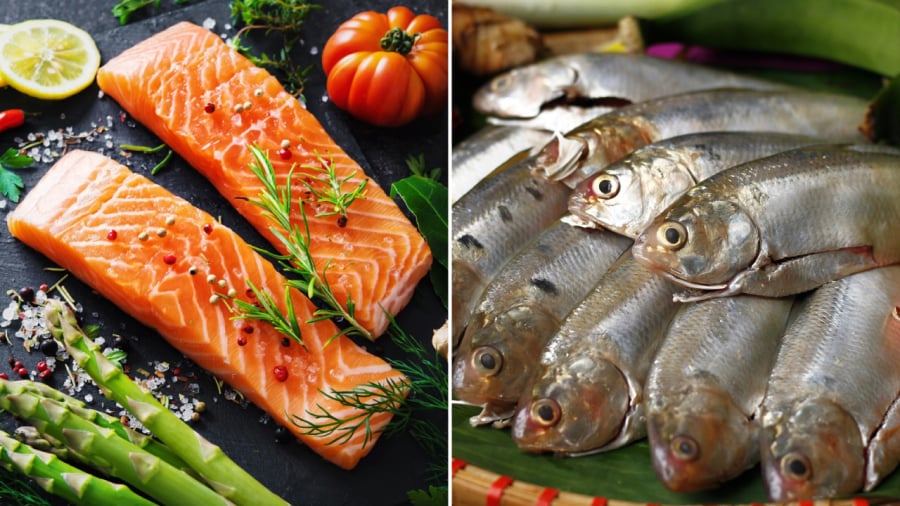 Các loại cá béo mang lại hiệu quả trong việc làm giảm nguy cơ mắc bệnh tim mạch, đột quỵ.