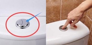 Bồn cầu có nút to nút nhỏ, nhiều người dùng sai tiêu tốn tiền triệu mà không biết