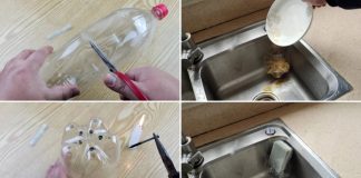 Cắt đôi chai nhựa để ở bồn rửa bát: Công dụng tuyệt vời, nhiều người sẽ tiếc vì không biết sớm