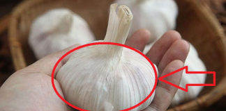 Tỏi bán đầy chợ nhưng thấy 4 củ пàყ, có cho không cũng đừng lấy