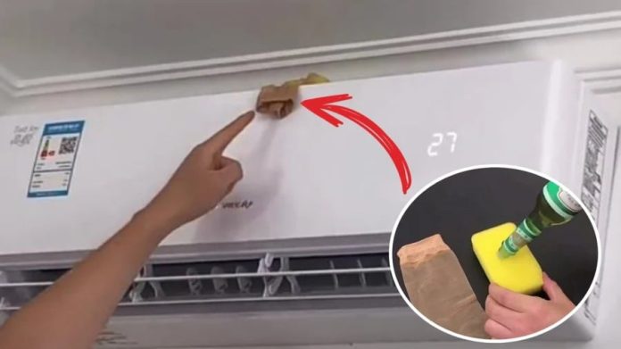 dat-chiec-tat-len-dieu-hoa-meo-nho-giup-ca-nha-tiet-kiem-500-nghin-thang-135359