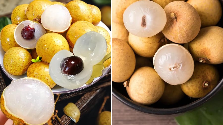 Nhãn là loại trái cây có giá trị dinh dưỡng cao.