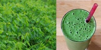 5 công dụng vượt trội của nước ép rau ngót khiến chị em sốt sình sịch