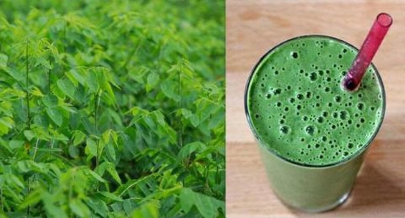 Nước ép rau ngót có rất nhiều công dụng tốt. (Ảnh minh họa)